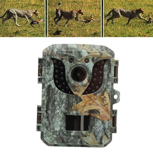 Trail Camera - 16MP
