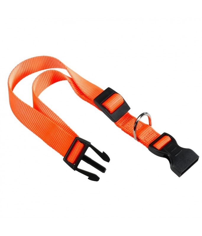 Club C - Nylon For Dogs