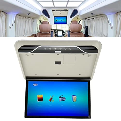 Roofmount Monitor - 19in