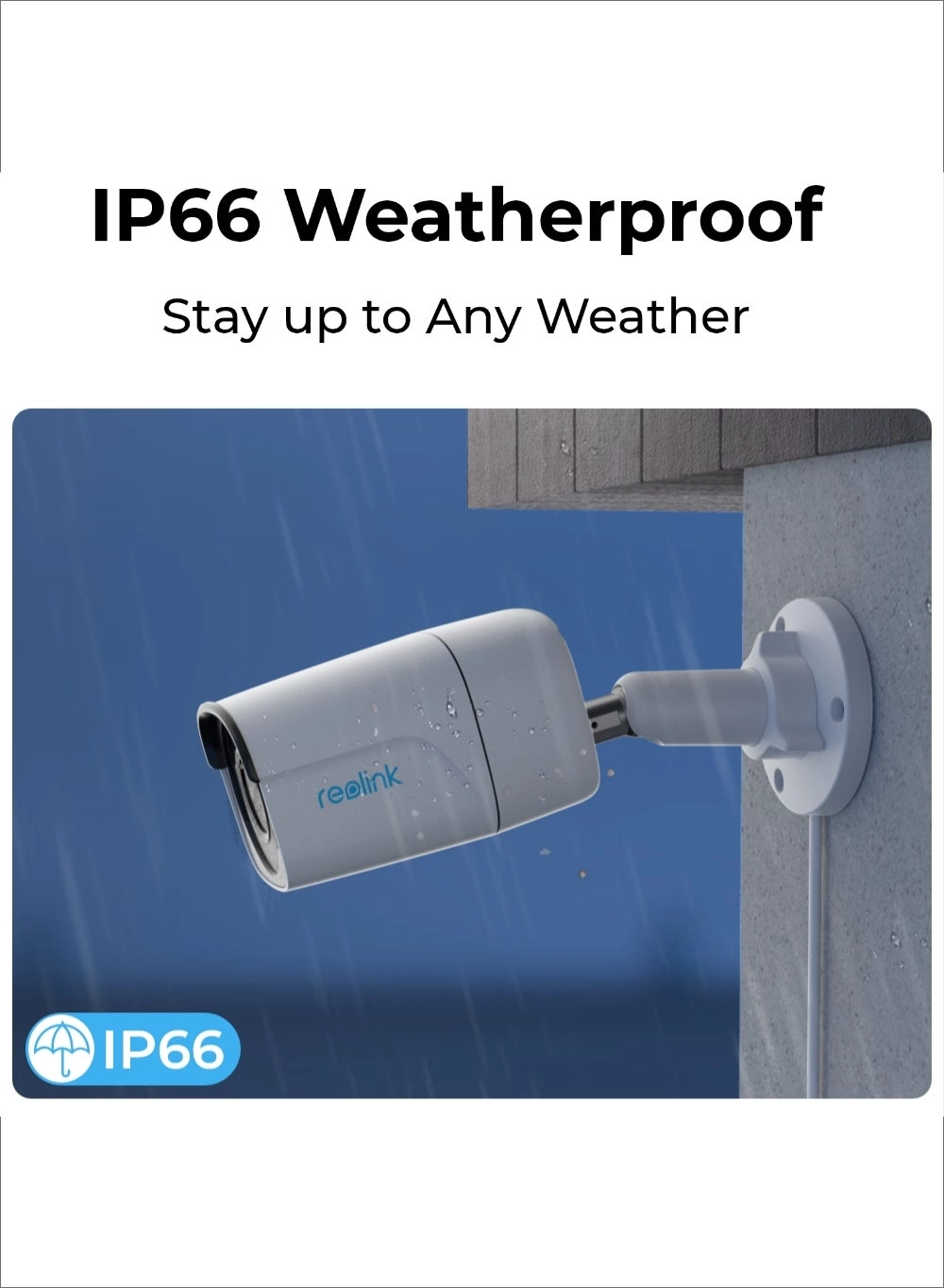 NVS8-5MB4 - 8 channels