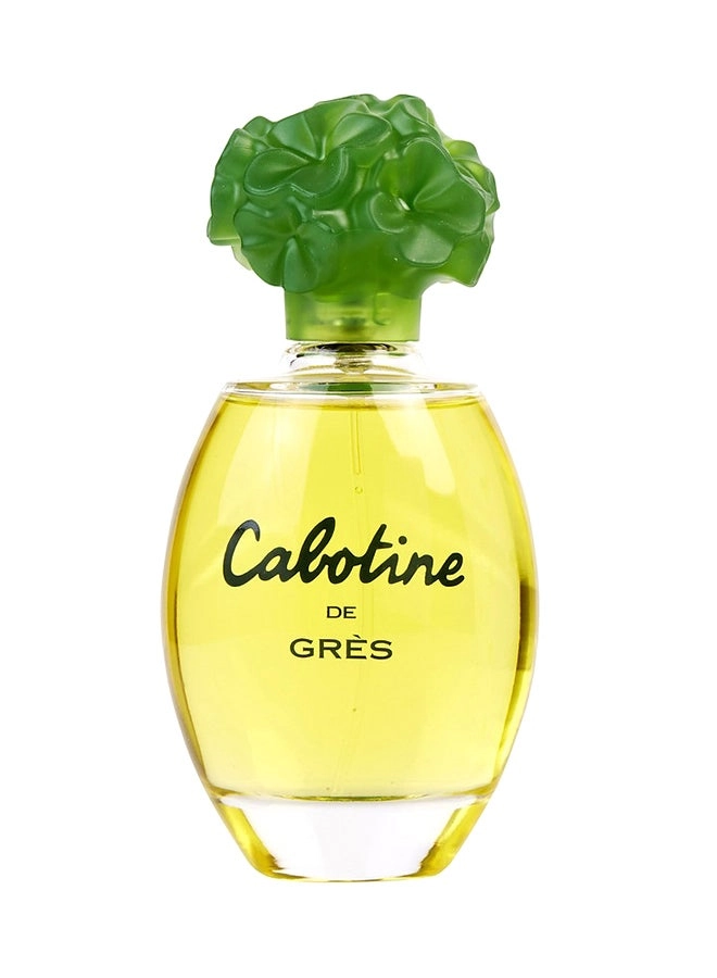 Eau de Parfum - 100ml