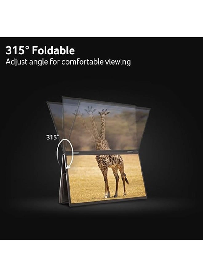 PD163Q/UM.ZP3EE.009 - 15.6 in 1920x1080