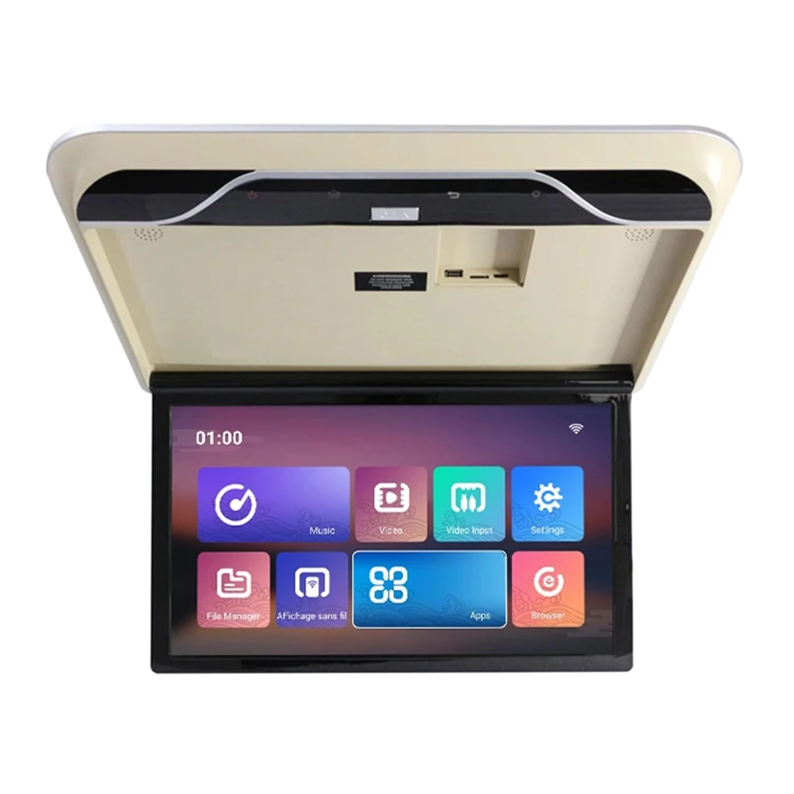 Roofmount LCD Monitor - 19in