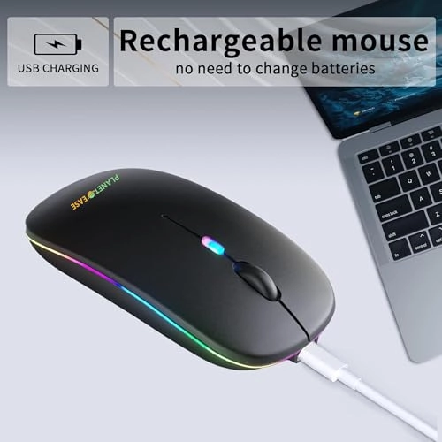 Mouse - Wireless, 2.4GHz USB, Plug and Play