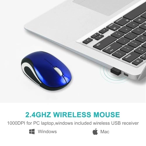 Cute Turtle Shape Mouse - USB