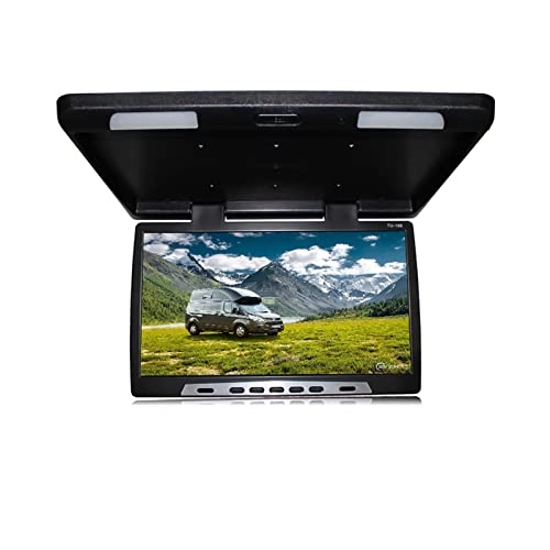 Car Ceiling Display - 19 Inch