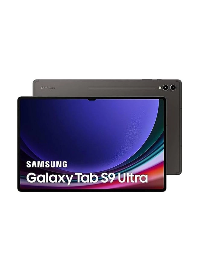 Samsung Galaxy Tab S9 Ultra - 1000GB 14.6"