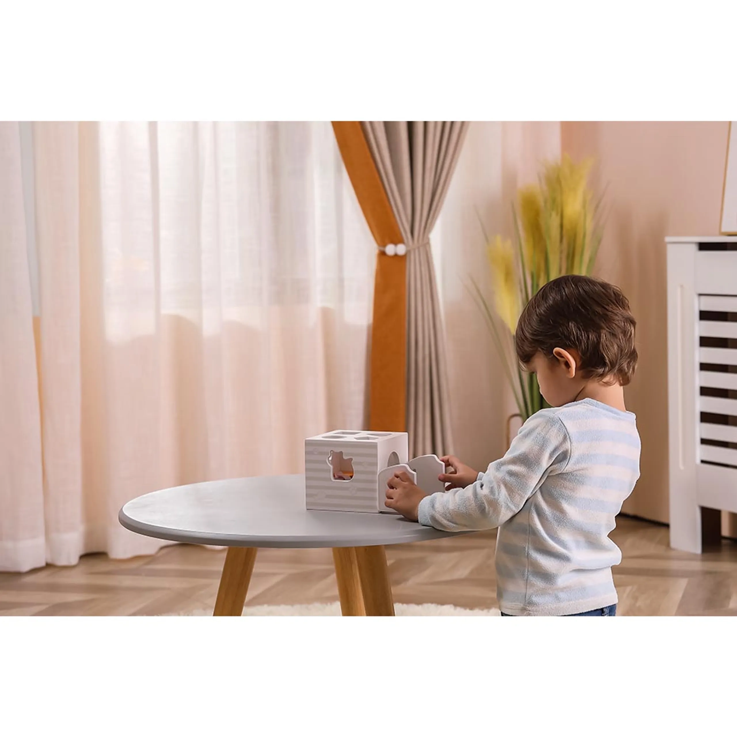 Animal Shape Sorter - 18 months & above 6 pieces