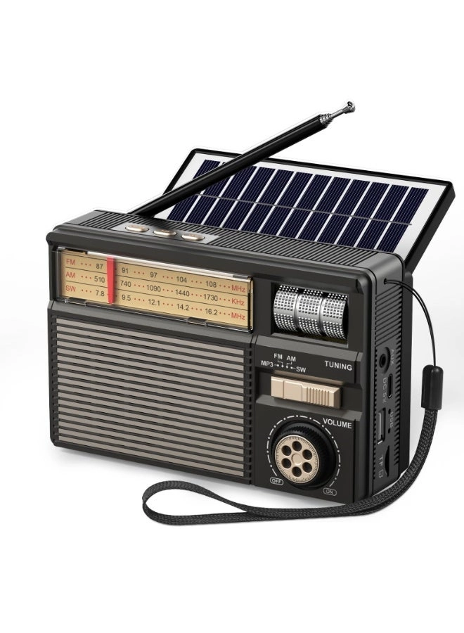 Bluetooth Radio Speaker - FM
