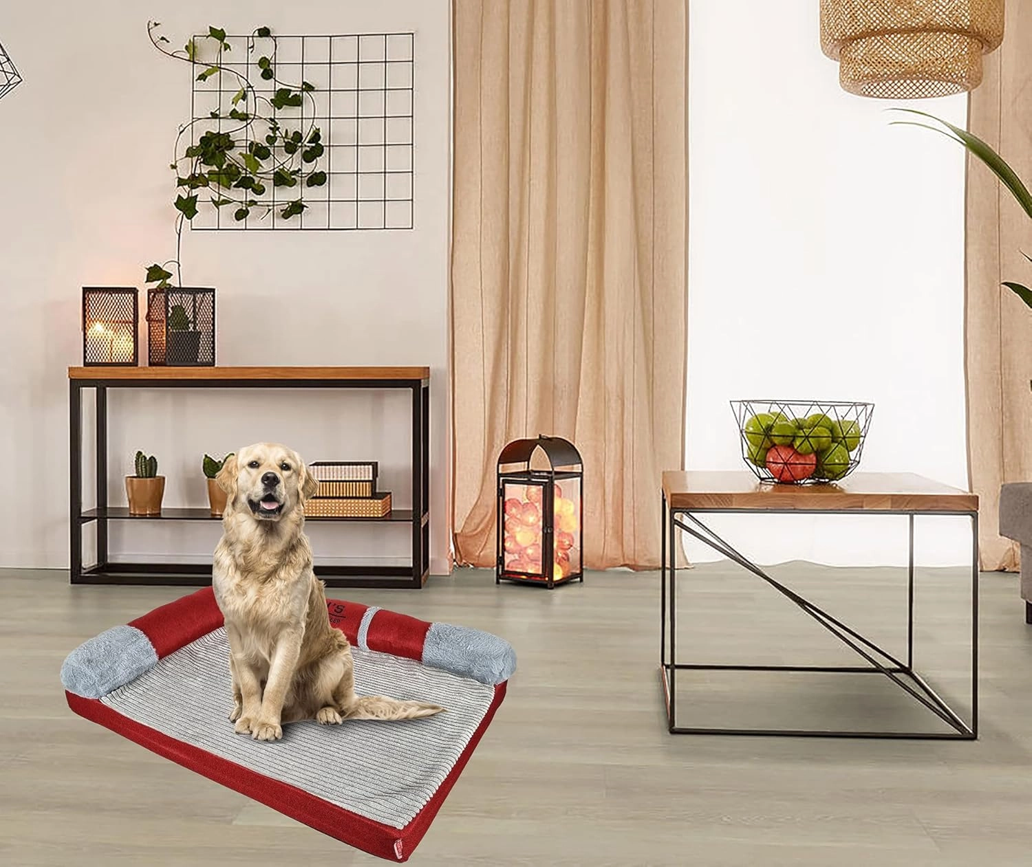 Memory foam dog bed - Orthopedic Small to medium 60 cm