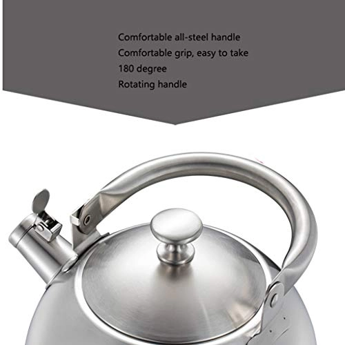 Whistling Kettle - Stainless Steel Ergonomic Handle