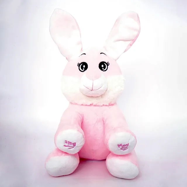 Peek A Boo Bugs - 3 +