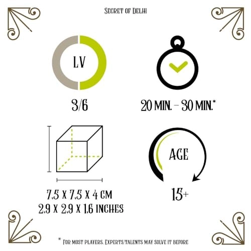The Secret of Delhi Puzzle