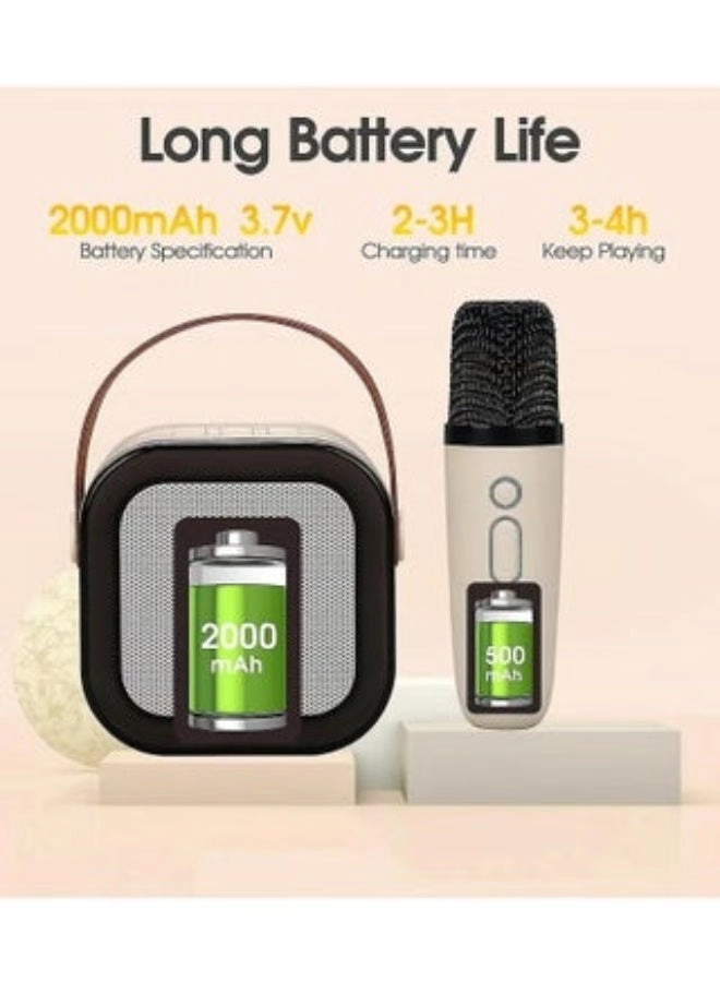 K12 - Dual Microphones
