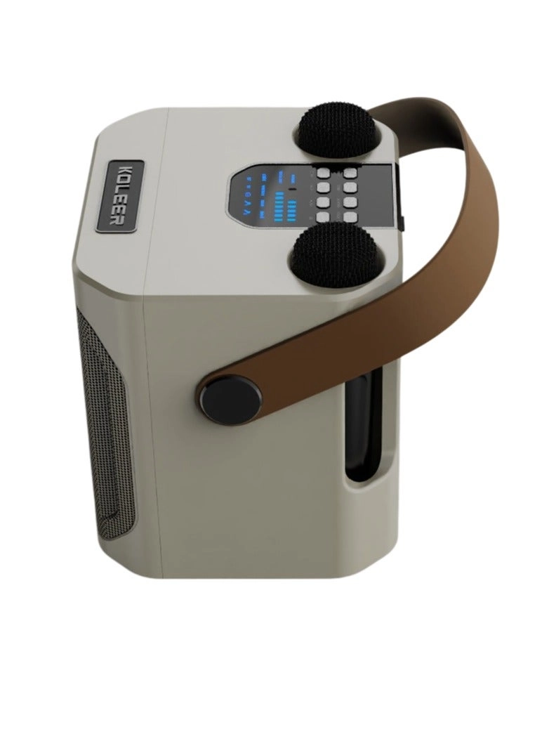 S882 - two wireless microphones