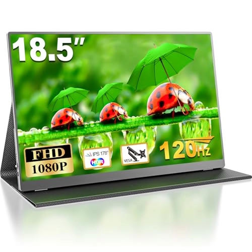 Portable Screen - FHD 18.5 Inch