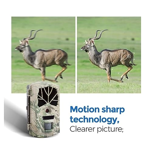 Wildlife Camera - 5MP