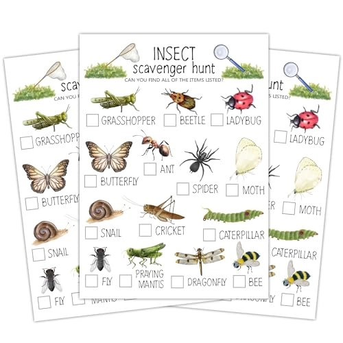 Insect Scavenger Hunt Cards - 30 piece(s) 15 years and up