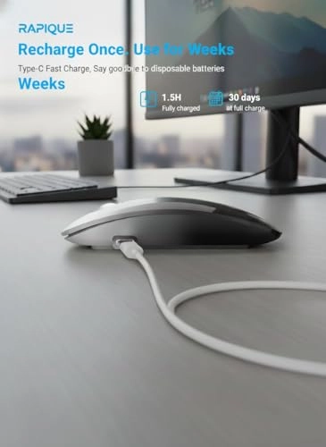 R306 PRO Mouse - Wireless