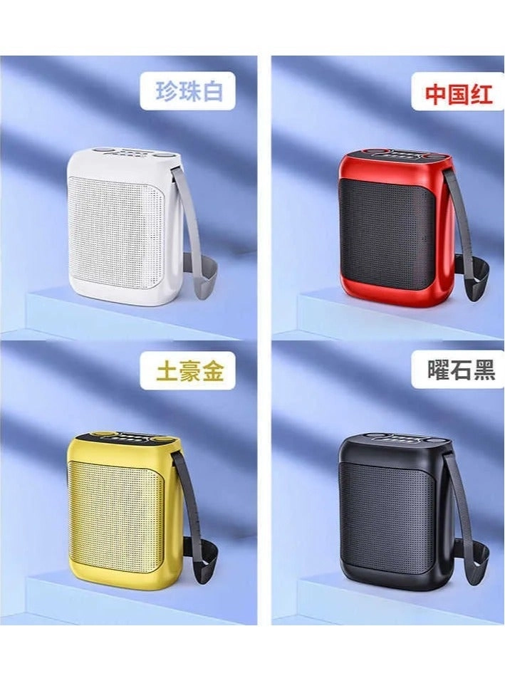 Double Wireless Microphone Karaoke Speakers - 100W Peak