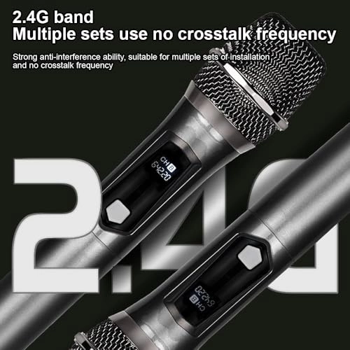 Weless Microphone System - 2 Microphones 2.4G