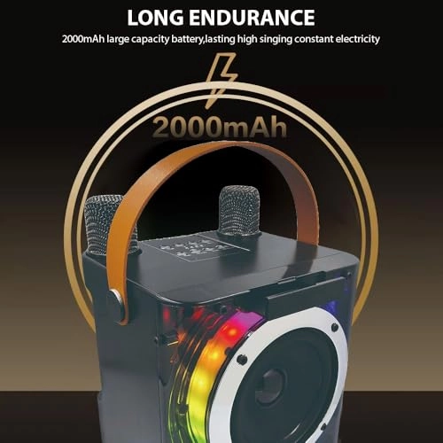 Karaoke Machine - 2 15W