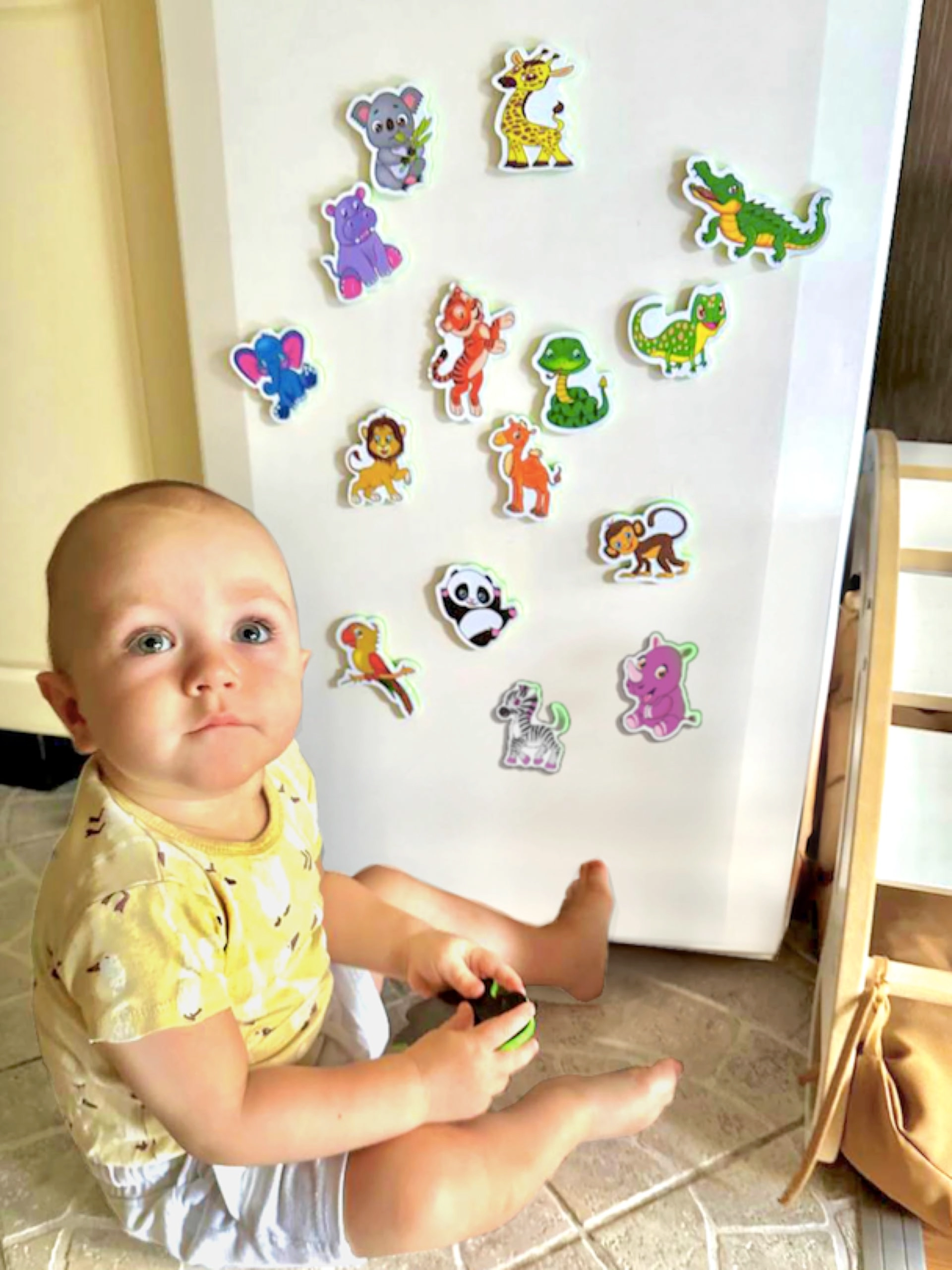 LIENO ROSIO Big Funny Zoo Animals Magnets - 1-3 16 pieces