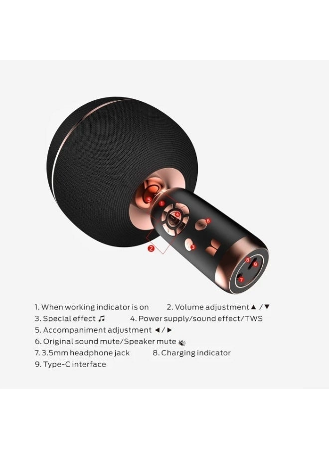 Superstar Dynamic Karaoke Microphone