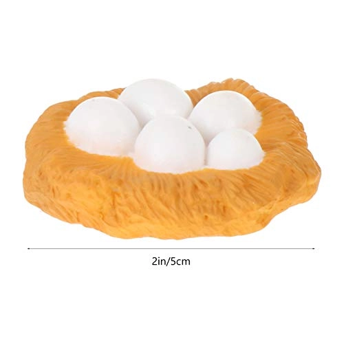 Chick Life Cycle Exploration Set Biology - 4 pieces