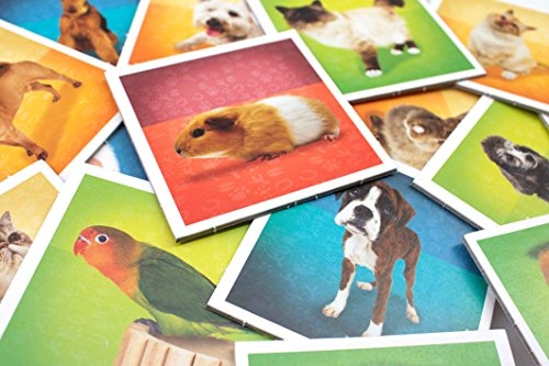 Pets Memo Card Game - English 12 months and up 1 piece(s)