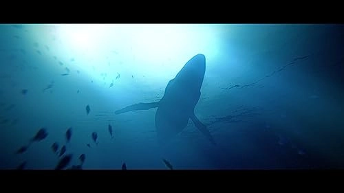 Under The Waves - Deluxe Edition PlayStation PS5
