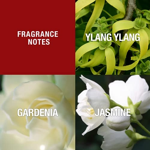 Design - 1.7 Fluid Ounces