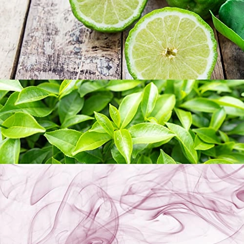 Original Eau de Toilette 50 ml