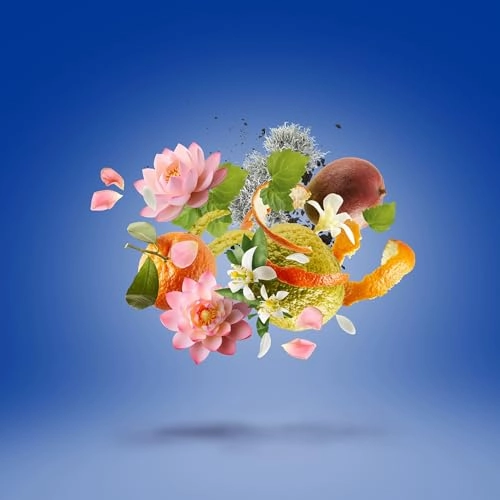 Torino24 - Eau de Parfum 50 ml