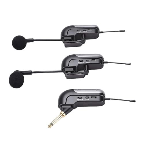 Wireless Accordion Microphone - 2 UHF