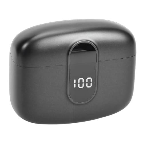 Jelquixqyixkvwg89 Wireless Microphone