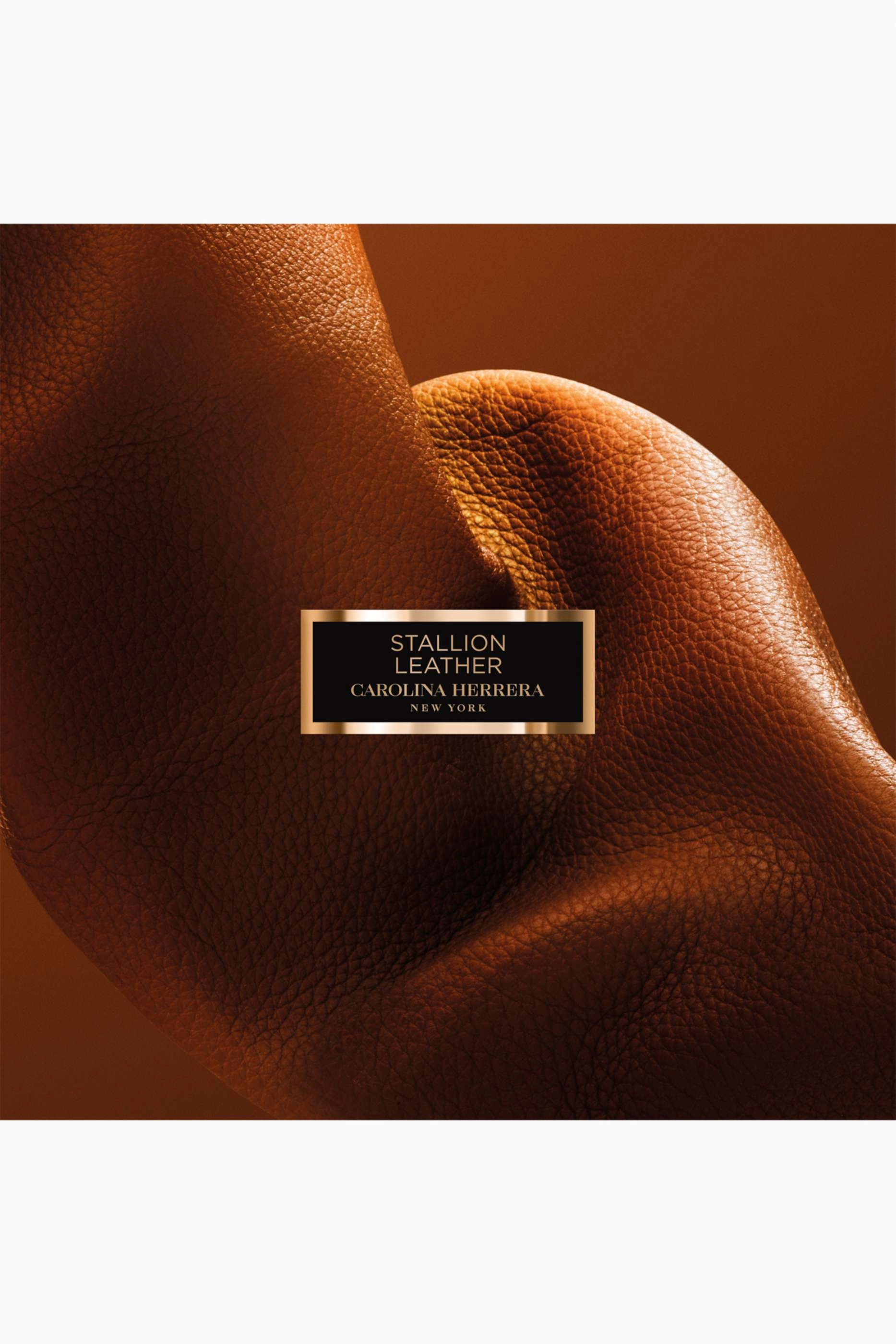 Stallion Leather Herrera Confidential Eau de Parfum 100ml