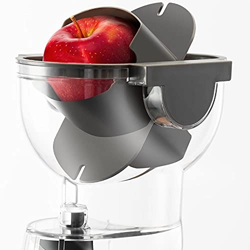 Electric Fruit Juicer