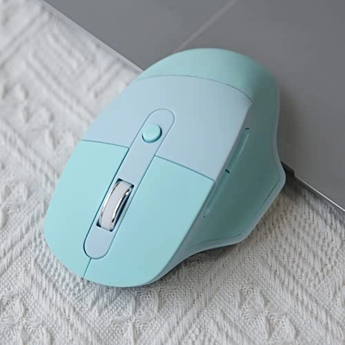 Ergonomic Mouse - 2.4G & Bluetooth