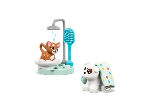 Town Visit to the Vet Clinic