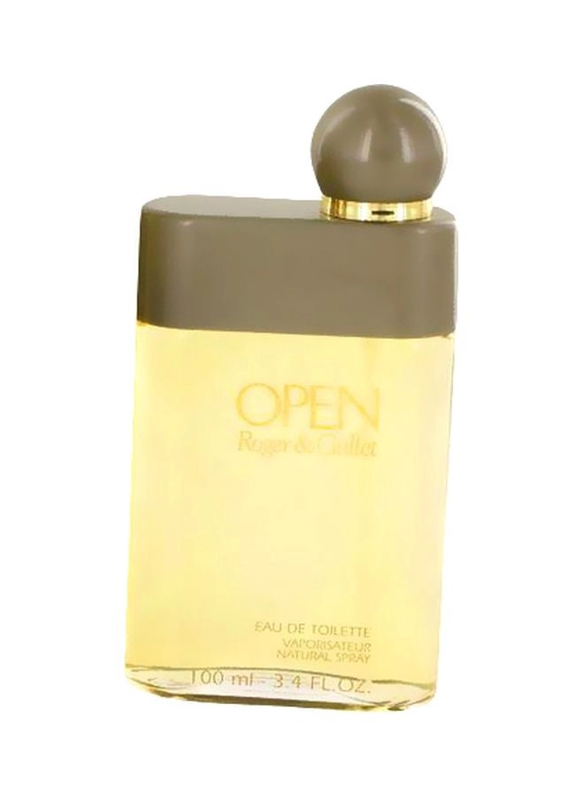Open Gold Eau de Toilette 100 ml