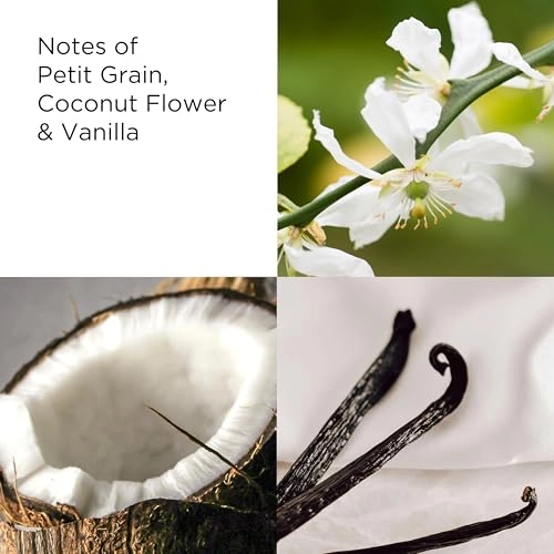 Sunflowers Golden Vibe Eau de Toilette - 100 ml