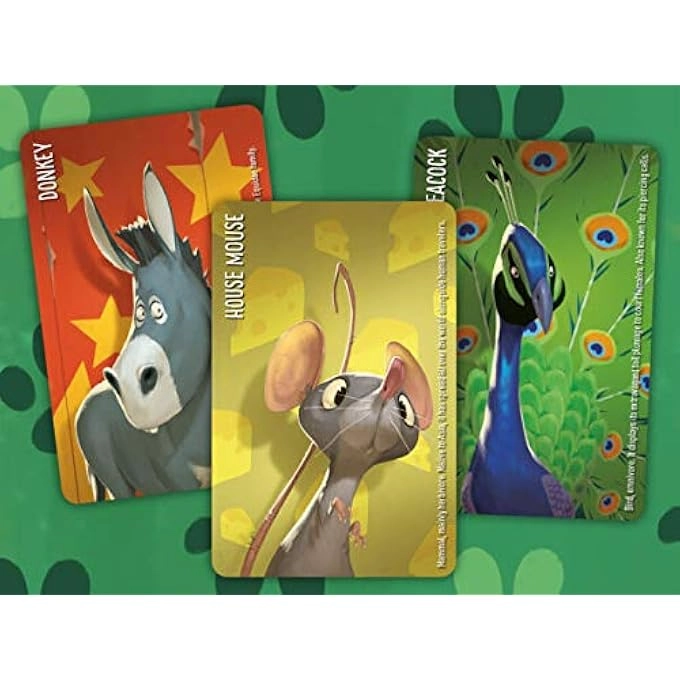 Similo: Animals