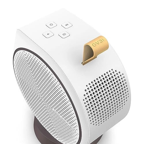 GV31 300 ANSI lumens