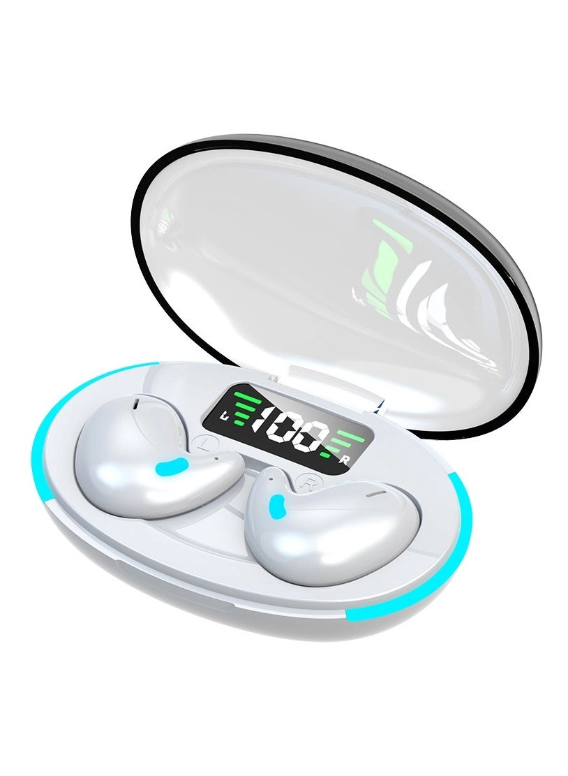 Wireless Bluetooth Earphones