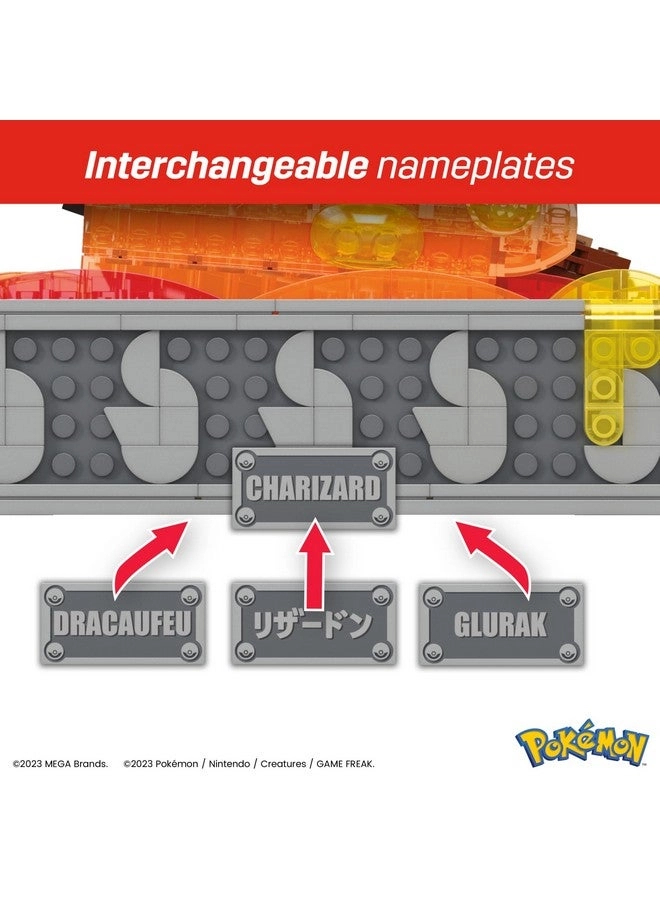 Pokemon Motion Charizard