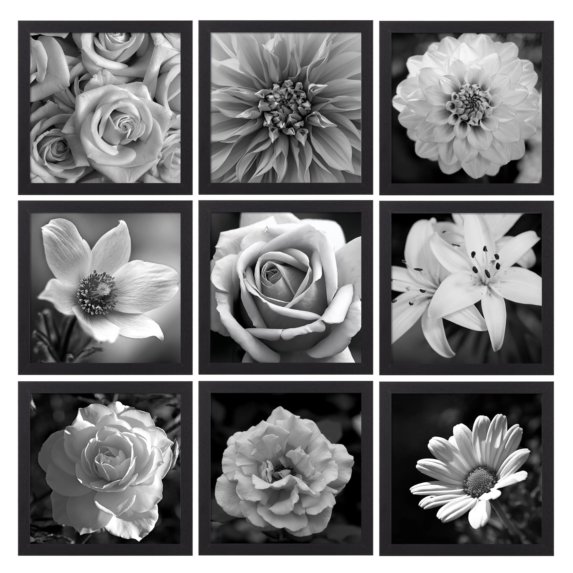 Gallery Wall Frame Set - 10x10