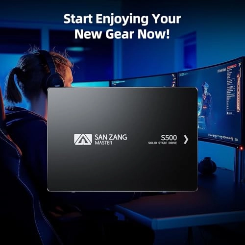 S500 - 256GB 2.5-inch