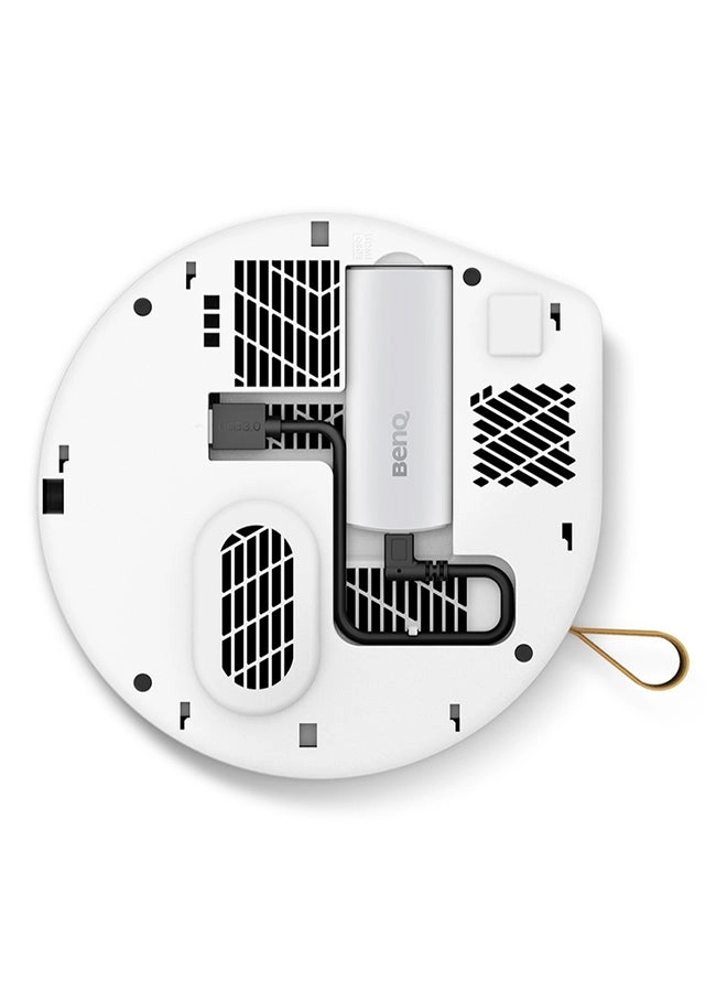 GV31 300 ANSI lumens