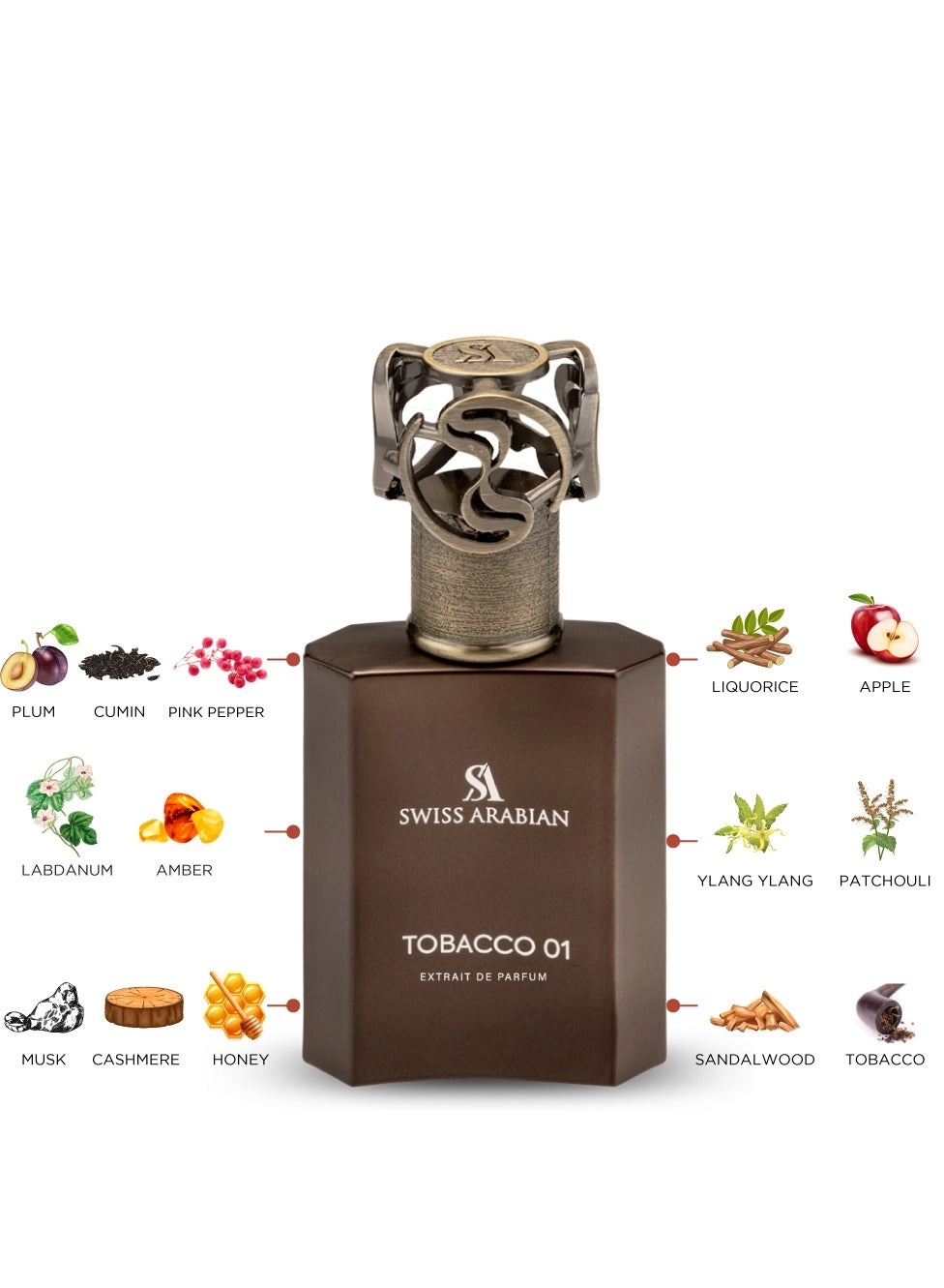 Tobacco 01 Eau de Parfum 50ml